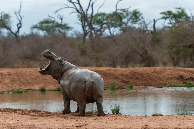 4 Days Luxury Lodge Safari Tour Tanzania - Day 3: A 6 a.m. Serengeti start