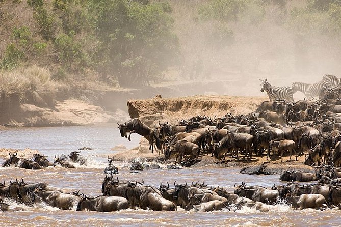 4 Days Luxury Lodge Safari Tour Tanzania - Day 2: The long road from Tarangire to Serengeti