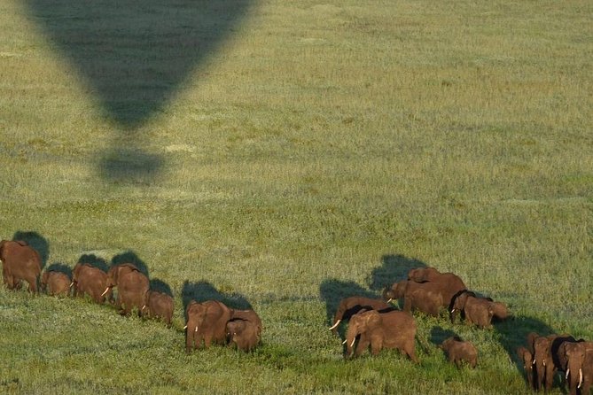 4 days luxury safari (a dream experience) - What the private format changes