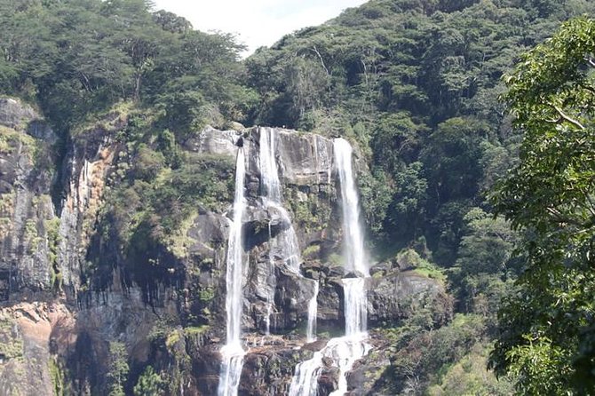 4 Days Mikumi & Udzungwa National Parks Safari - The final sunrise and the long road home