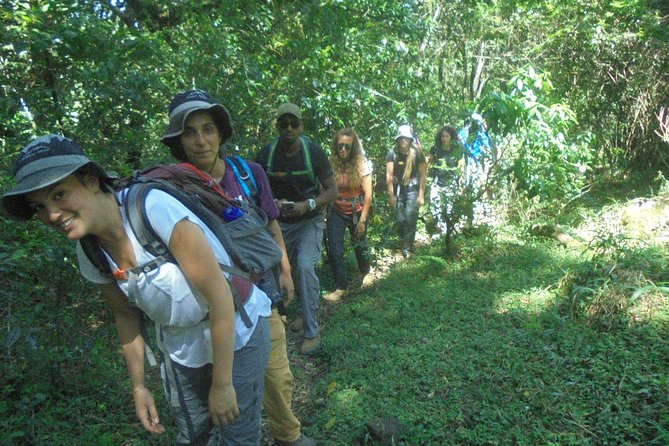 4 Days Mount Meru Climbing | Hiking | Trekking Tour - Day 4: Returning through forest to Momella Gate