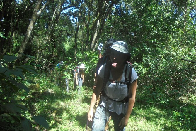 4 Days Mount Meru Climbing | Hiking | Trekking Tour - The views, wildlife, and changing terrain