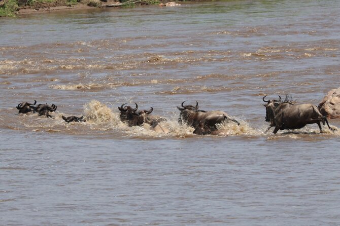 4 Days Private Arusha National Park, Serengeti, Ngorongoro Tour - Meals, transport, and what the price really covers