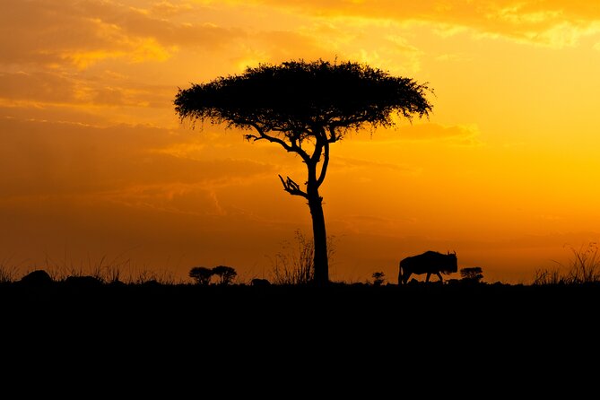 4 Days Private Arusha National Park, Serengeti, Ngorongoro Tour - Day two brings you toward Central Serengeti