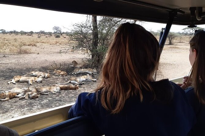 4 Days Private Midrange Lodge Safari to Serengeti & Ngorongoro - Day one: elephants and baobabs in Tarangire