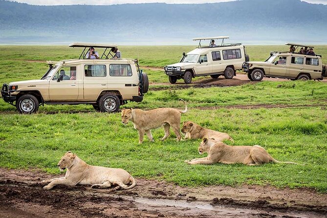 4 Days Private Midrange Lodge Safari to Serengeti & Ngorongoro - What the vehicle and meals mean on the road