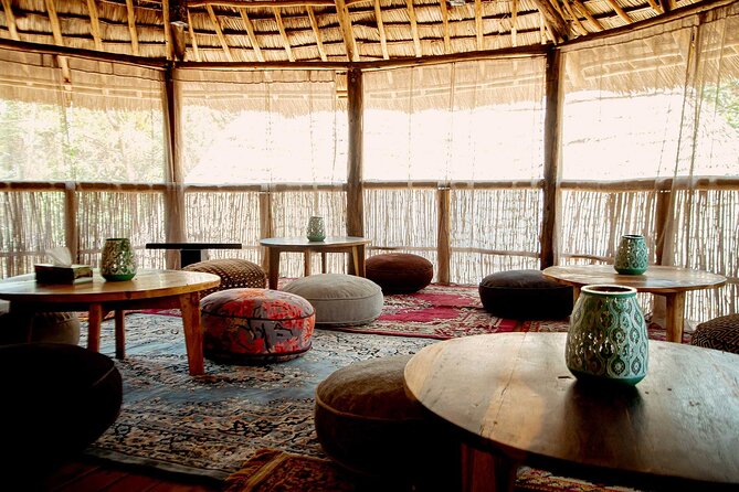 4 Days Private Midrange Lodge Safari to Serengeti & Ngorongoro - The price, accommodation, and what to confirm