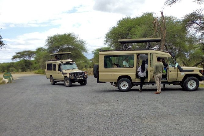 4 Days Private Midrange Lodge Safari to Serengeti & Ngorongoro - Day two: the road to the Serengeti