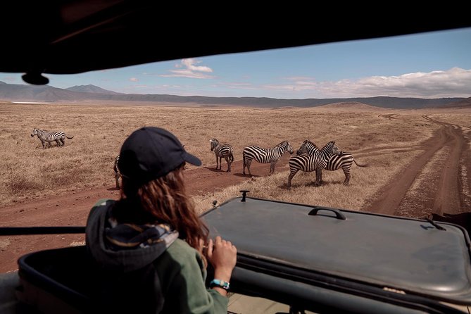 4-Days Private Midrange Safari Tarangire, Serengeti & Ngorongoro - Day 3: Sunrise wildlife, another game drive, and Ngorongoro