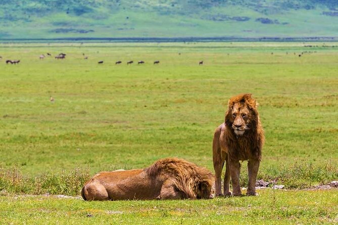 4-Days Private Midrange, Tarangire Ngorongoro, Manyara & Materuni - Materuni Waterfalls: a walking day with a physical element