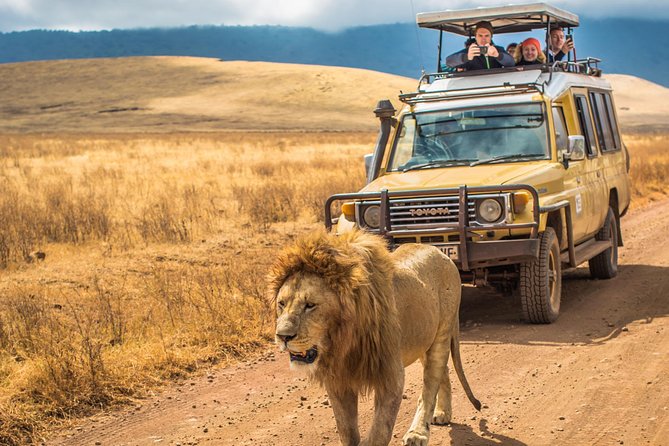 4 Days Private Safari - Tarangire, Serengeti & Ngorongoro Crater - Why this four-day route works
