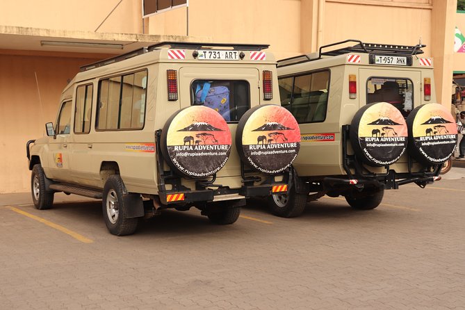 4 Days Private Safari - Tarangire, Serengeti & Ngorongoro Crater - Day three: one last Serengeti look, then Maasai country
