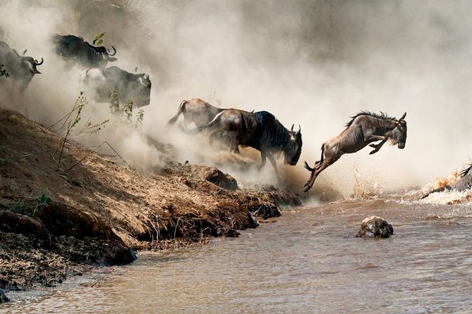 4 days Private Safari Tour Tanzania - Olduvai Gorge and the move toward Ngorongoro