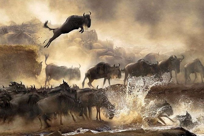4 days Private Safari Tour Tanzania - Who will get the most from this safari