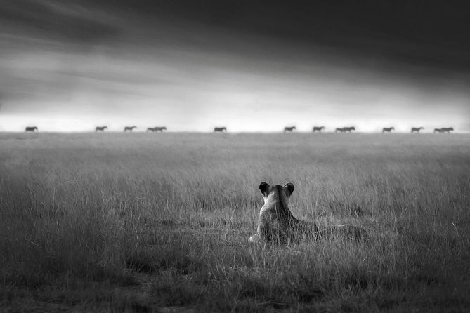 4 days safari in Tanzania - What the $1,700 price really covers