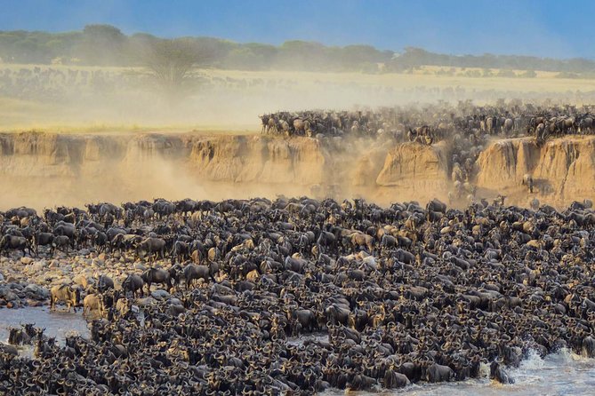 4 days safari in Tanzania - Day 4: Ngorongoro Crater and the return to Arusha