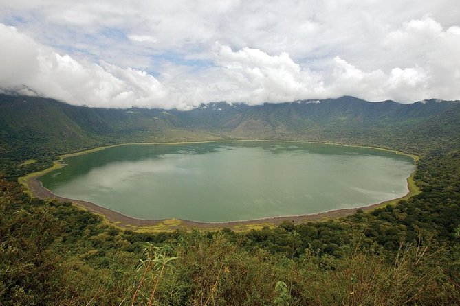 4 days safari in Tanzania - How much wildlife can you expect?