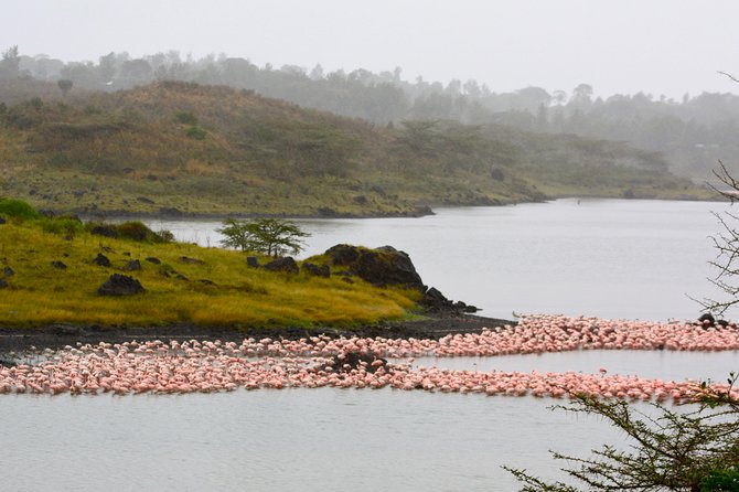 4 days Safari Lake Manyara, Ngorongoro crater and Serengeti - Food, camping, and the practical details