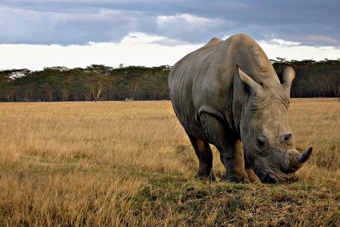 4 Days Safari Tour at Tarangire, Serengeti and Ngorongoro Crater - Why this route works in only four days