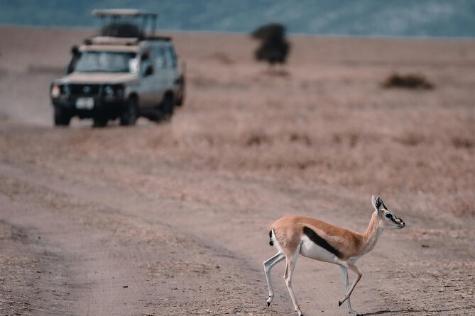 4 Days Safari Tour at Tarangire, Serengeti and Ngorongoro Crater - Guides, driving, and the private format