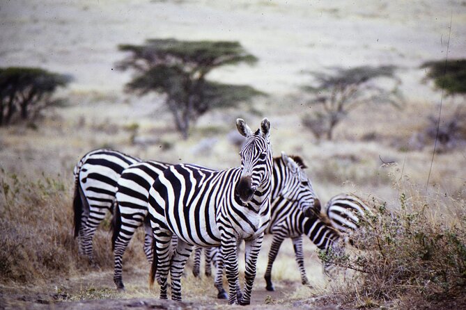 4 Days Safari Tour at Tarangire, Serengeti and Ngorongoro Crater - What the $2,274 price includes