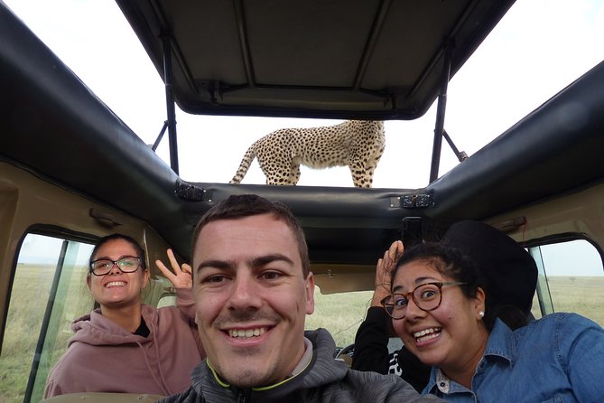 4 Days safari Tour Tanzania - What the private vehicle changes