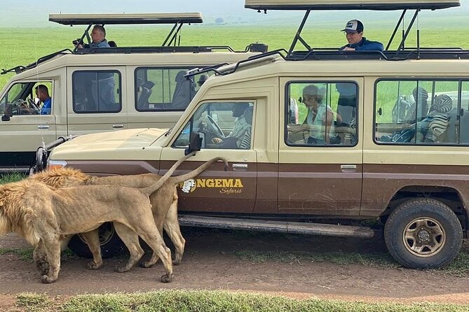 4 Days Serengeti, Ngorongoro and Tarangire Safari - Day 1: Tarangire’s elephants and baobab country
