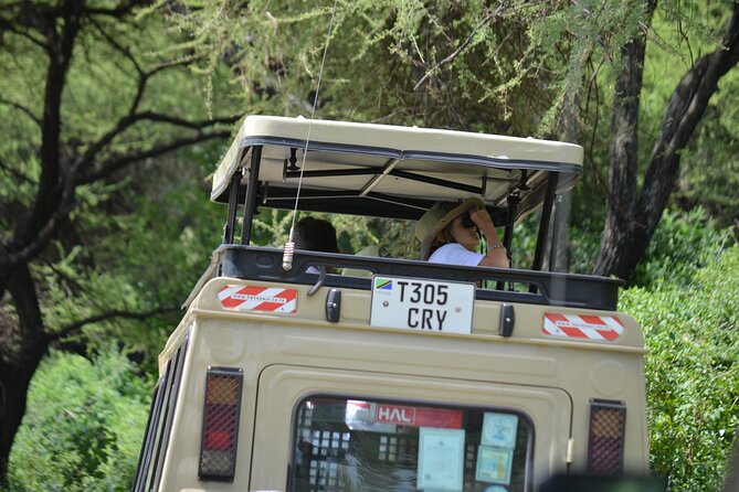 4 days serengeti & ngorongoro mid range tour - Day 1: Tarangire’s elephants and full-day wildlife search