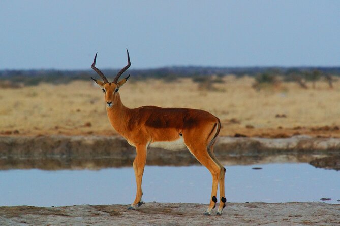 4 Days Tanzania Budget Group Join Safari- Serengeti & Ngorongoro - Sharing a safari: the good and the hard parts