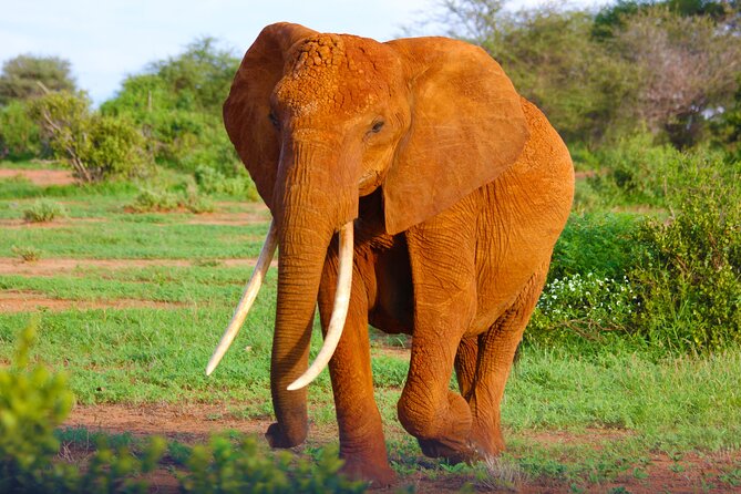 4 Days Tanzania Budget Group Join Safari- Serengeti & Ngorongoro - Day one: the long run from Arusha to Serengeti