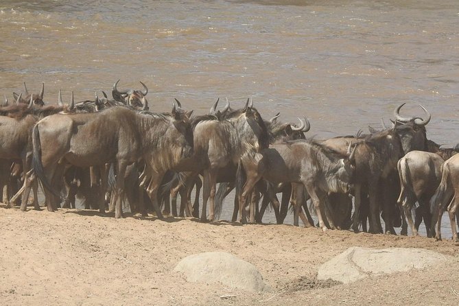 4 Days Tanzania Budget Safari - What $1,408 buys you over four days