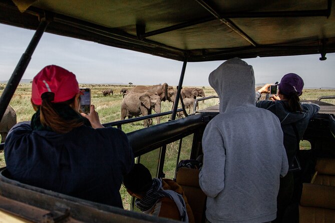 4 Days Tanzania Budget Safari - The Toyota Cruiser and private tour format