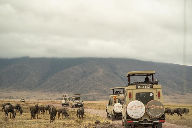 4 Days Tanzania Budget Safari - Who should book this four-day route?