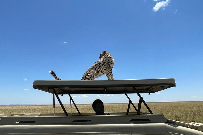 4 Days:tanzania Budget Safari - What the price includes, and what it does not
