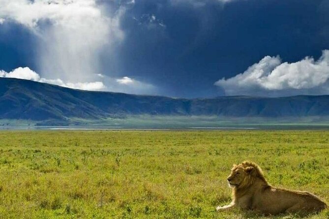 4 days Tanzania Camping Safari - Day three: Serengeti wildlife before the crater campsite