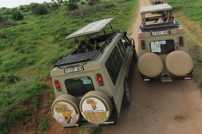 4 Days Tanzania Group Joining Safari with Mid-range Accommodation - Day 4: Down into Ngorongoro Crater