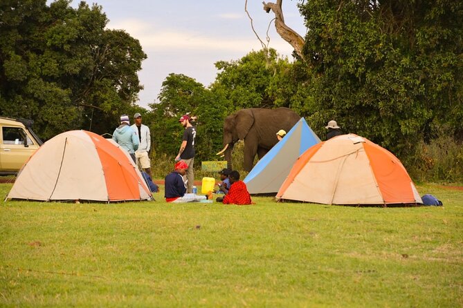 4 days Tanzania group safari to Serengeti, Crater and Tarangire - Day three: Sunrise in the Serengeti