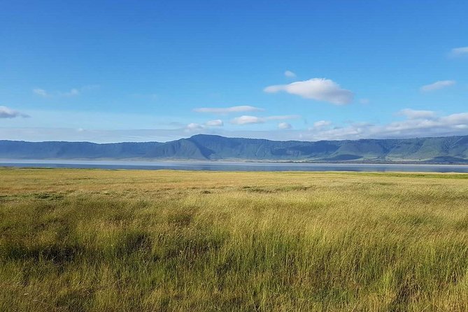 4 Days Tanzania Luxury Safari - Ngorongoro Crater and its concentrated wildlife