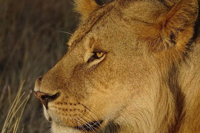 4 Days Tanzania Luxury Safari - Is $2,288.47 per person good value?