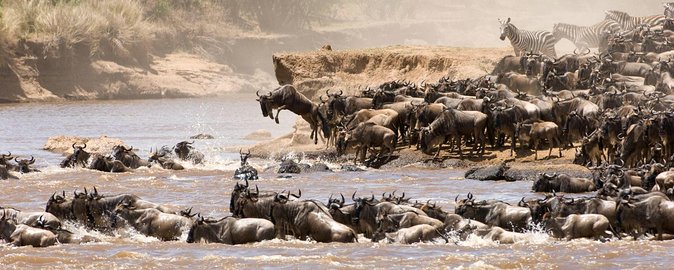 4 Days Tanzania Luxury Safari Serengeti and Ngorongoro Crater - Day 1: The long road from Arusha to Serengeti