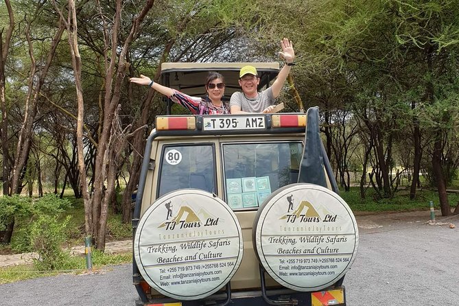 4 Days Tanzania Luxury Safari - The Serengeti plains: the main event
