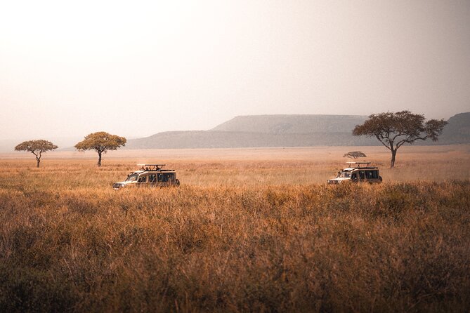 4 Days Tanzania Private Lodge Safari - Three famous parks in four days
