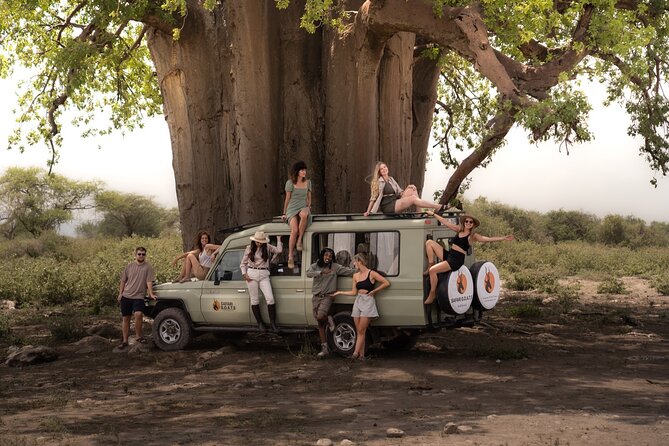 4 Days Tanzania Private Lodge Safari - What the private vehicle changes