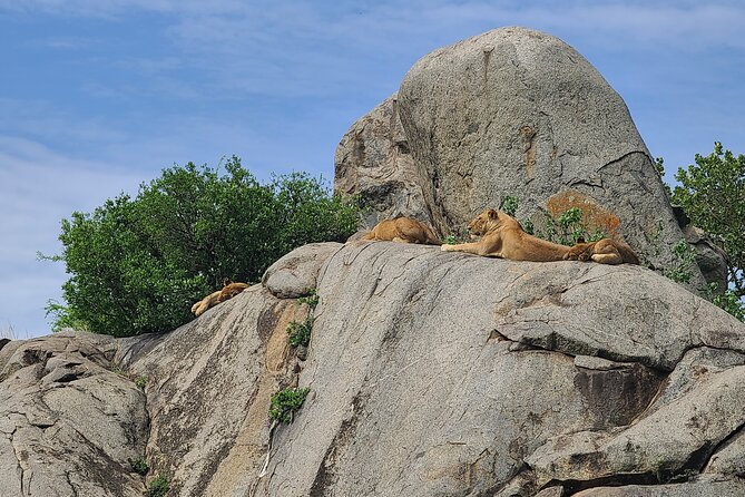 4 Days Tanzania Safari - Why this four-day route works