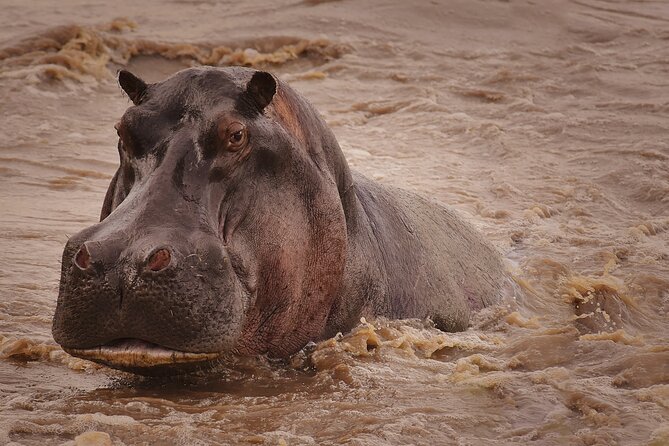4 Days Tanzania Safari - Day three: sunrise and predator country in Serengeti