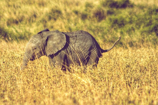 4 Days Tanzania Safari - What the $2,750.30 price covers