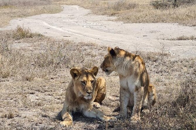 4 Days Tanzania Safari Experience - What the $2,300 price means