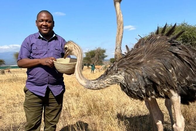 4 Days Tanzania Safari Tarangire, Serengeti and Ngorongoro Crater - Day 4: Five to six hours inside Ngorongoro Crater