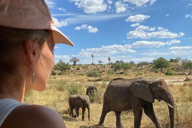 4 Days Tanzania Safari Tour - What this four-day safari is really designed to do