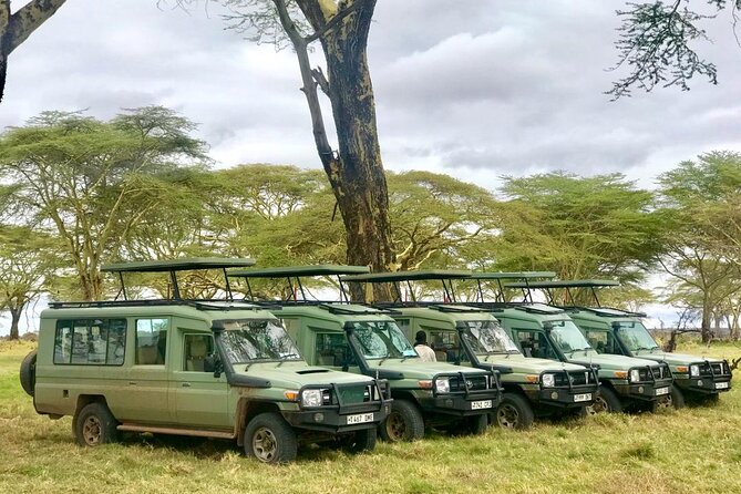 4 Days Tanzania Safari Tour - Meals, accommodation, and what is included